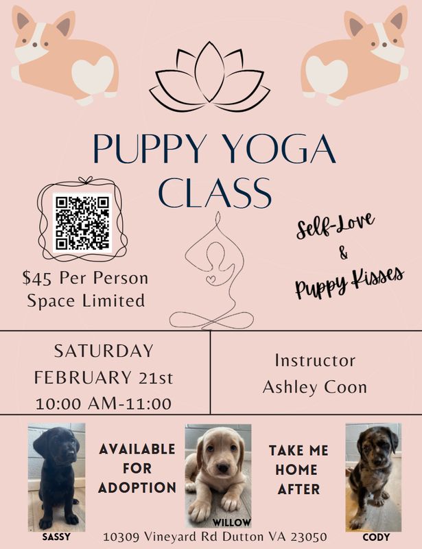 Puppy Yoga Puppy Yoga