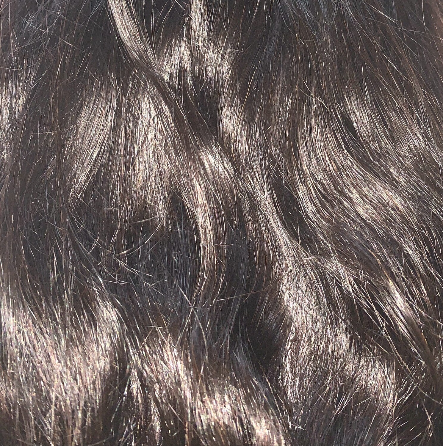 Body Wave (Treasure Collection) Body Wave (Treasure Collection)