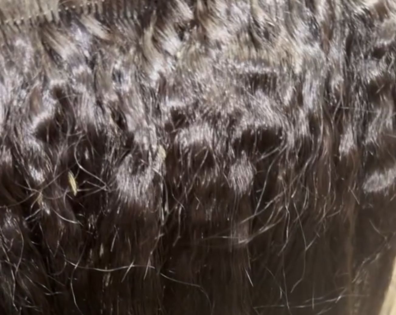 3.5 oz Elite Kinky Straight