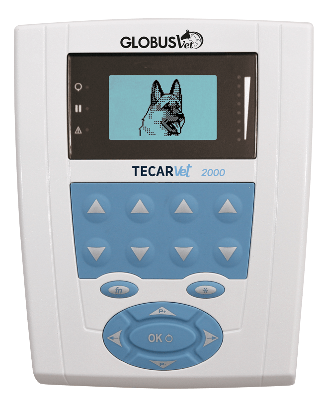 TECARVET 2000