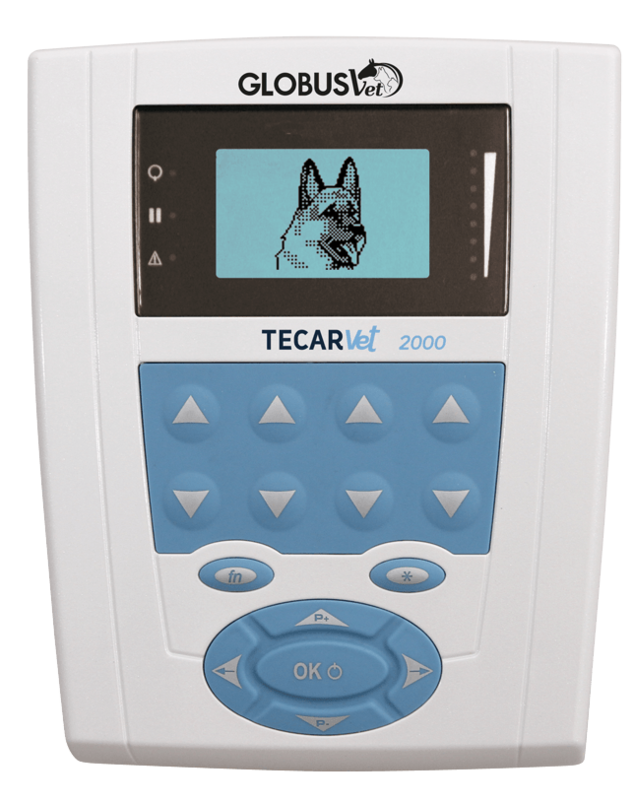 TECARVET 2000
