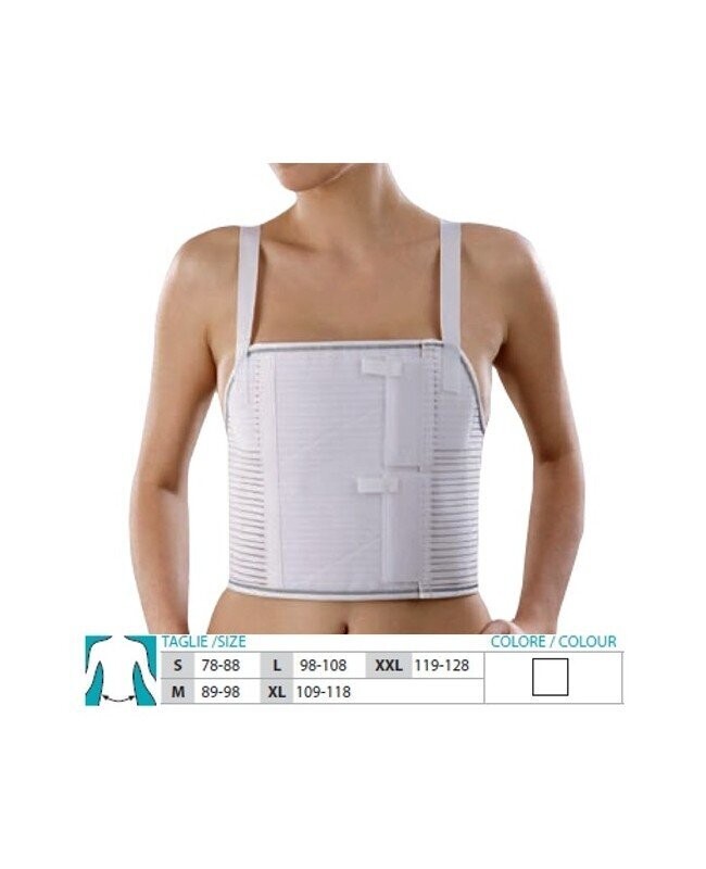 Fascia toracica con bretelle h cm 27