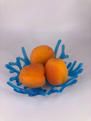 Fused Coral Glass Bowl Aqua Blue