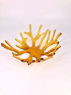 Fused Coral Bowl Amber