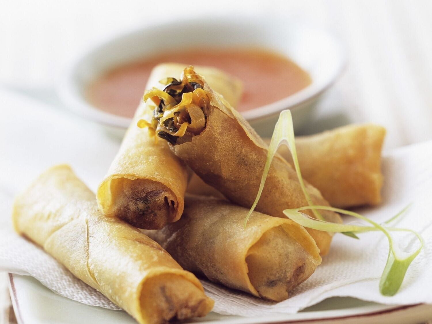 Mini Frühlingsrolle