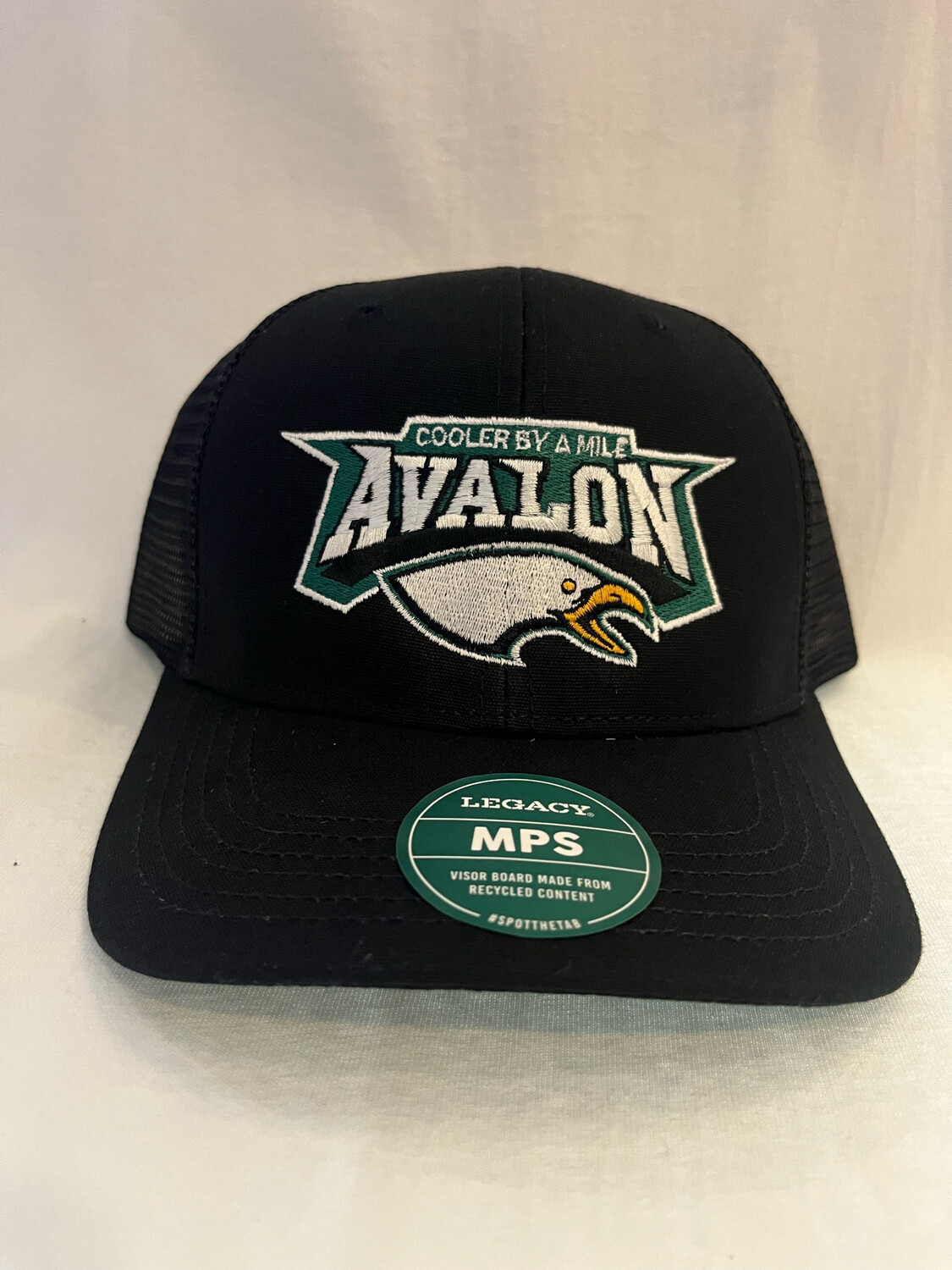 Avalon Seagull Black SnapBack