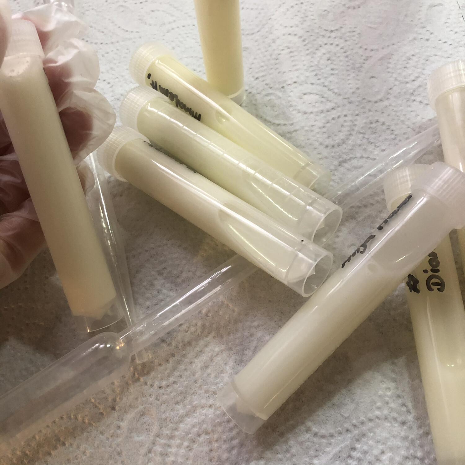 Einlagern deiner Muttermilch