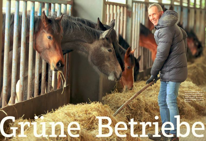 Gest&uuml;t Ligges, Wirtschaftsd&uuml;nger durch Kompostierung, W&auml;rme aus der Beton-Bodenplatte