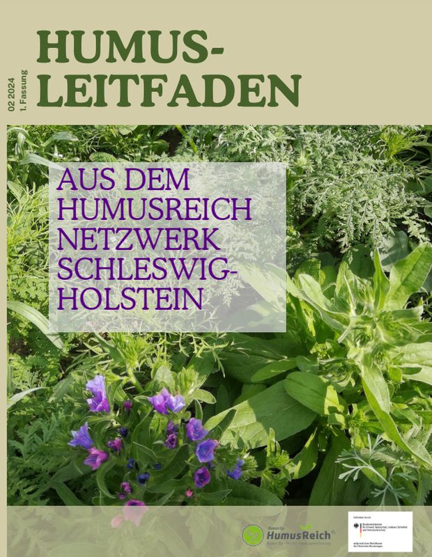 Aufbau von Humus, der Leitfaden