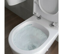 Cilantro Rimless C/C Open Back WC &amp; Soft Close Seat