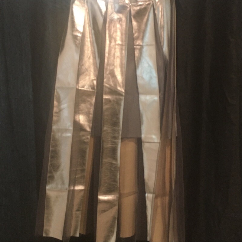 Silver Skirt