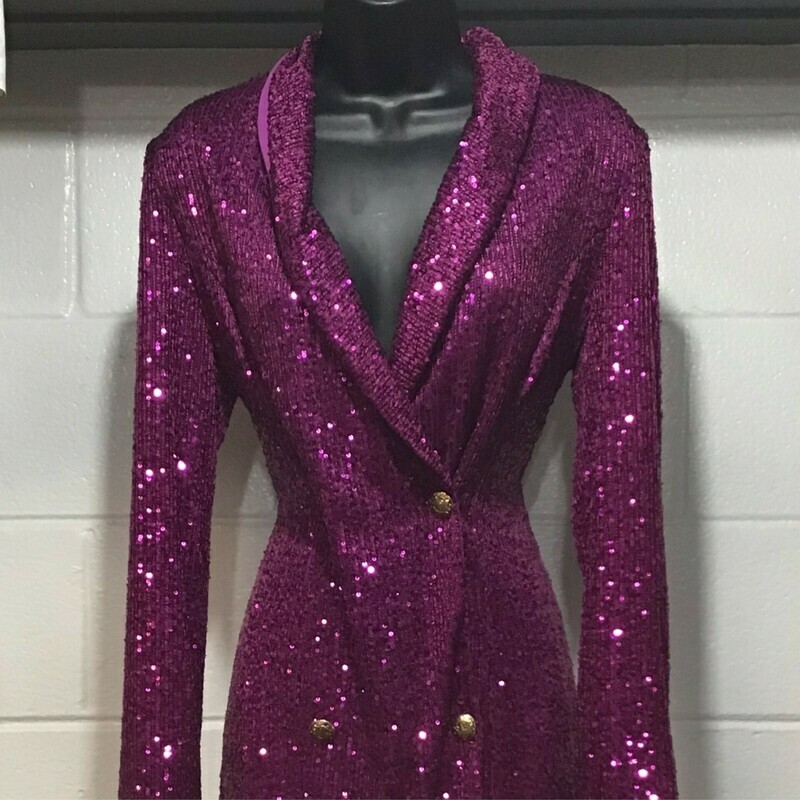 Long Sleeve Double Breasted Sequin Dress