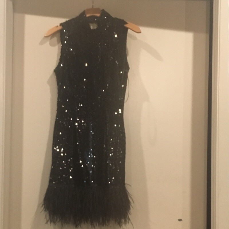 Black  Sequin  Dress With Feathers At The Bottom