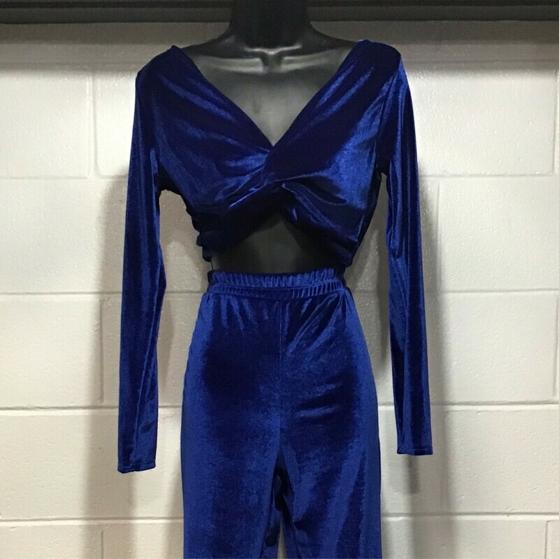 Royal Blue Velvet Crop Top and Pants Set