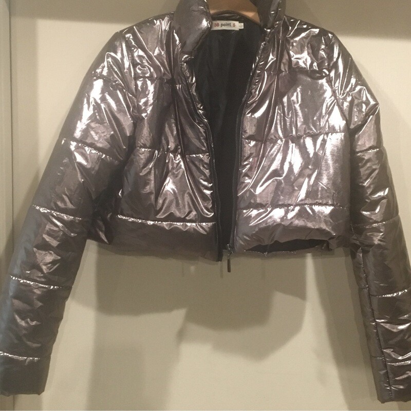 Silver Puff jacket