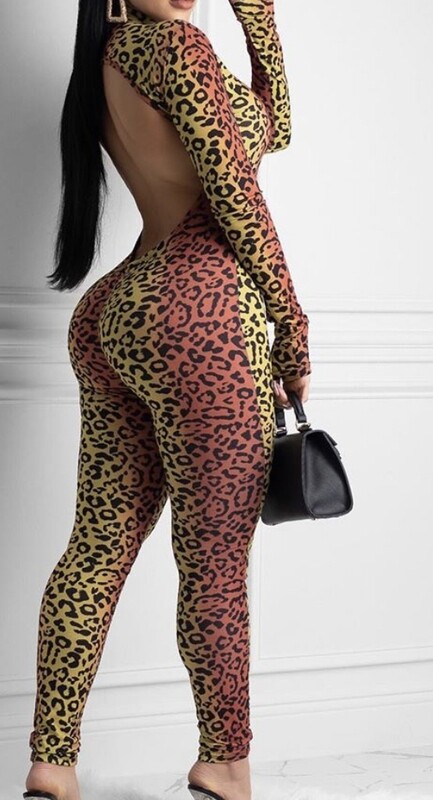 Sheer Printed Jumper