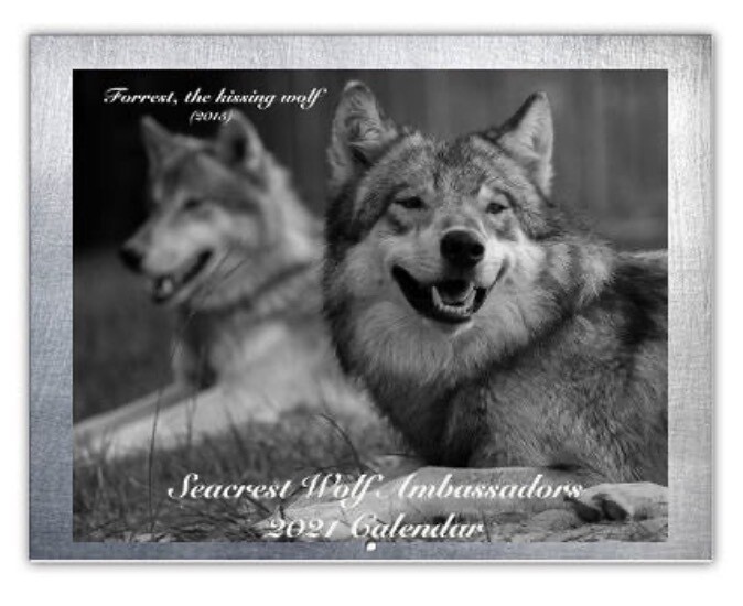 2021 Seacrest Wolf Ambassador Calendar 2021 Seacrest Wolf Ambassador Calendar