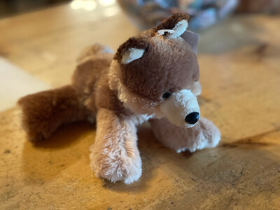 Small Coyote Stuffie