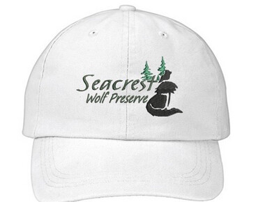SWP Logo Hat- White