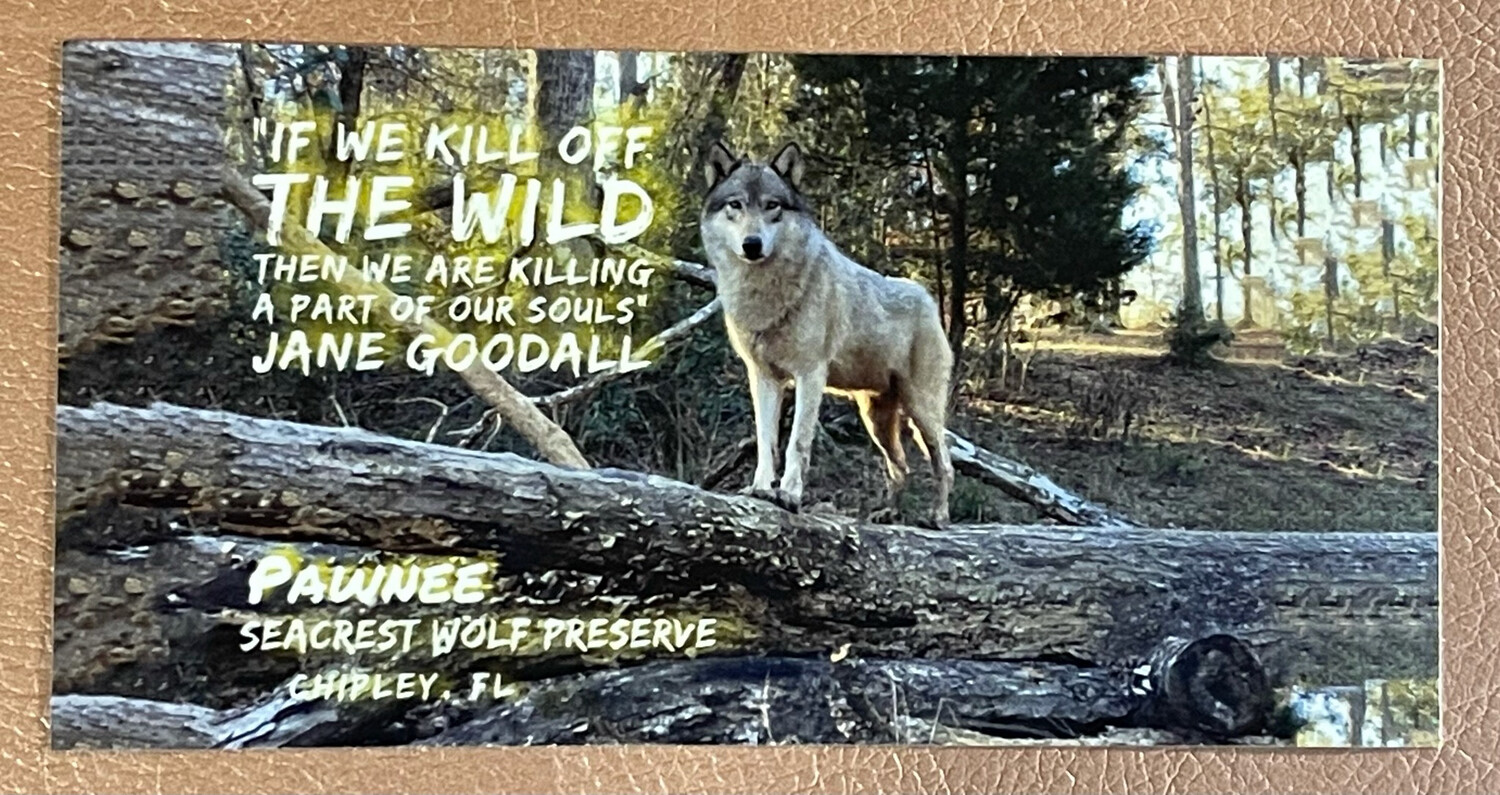 Sticker- Goodall Nature