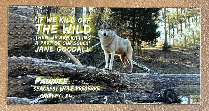 Sticker- Goodall Nature