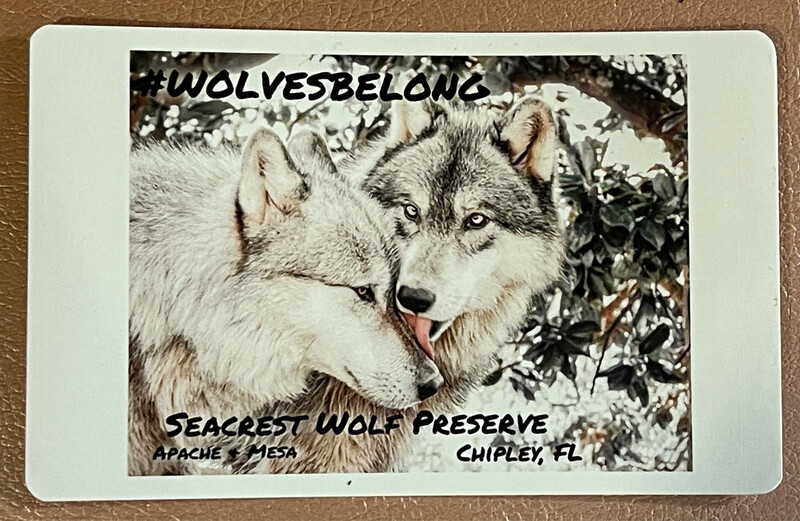 Sticker- #WOLVESBELONG