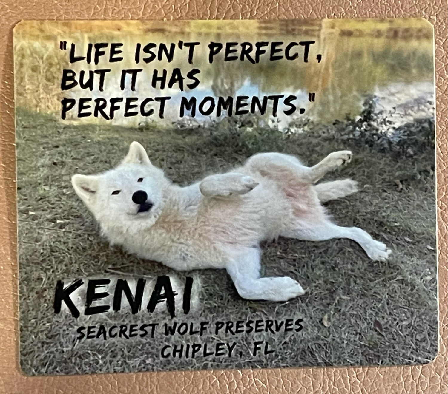 Sticker-Moments-Kenai