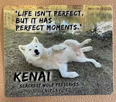 Moments-Kenai Sticker