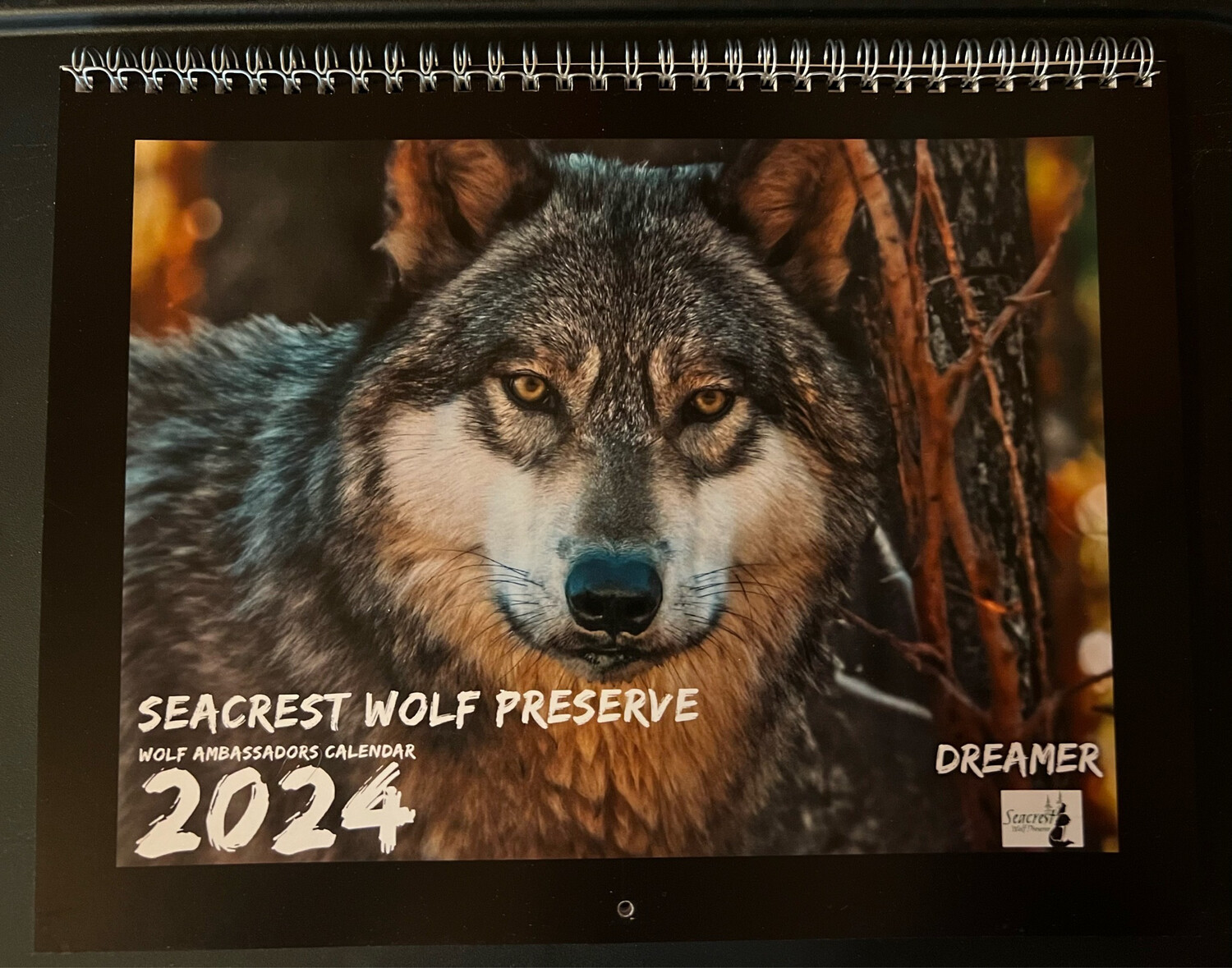 2024 Seacrest Wolf Ambassadors Calendar