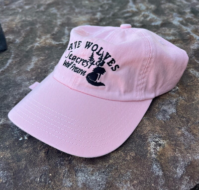 Light Pink Logo Hat