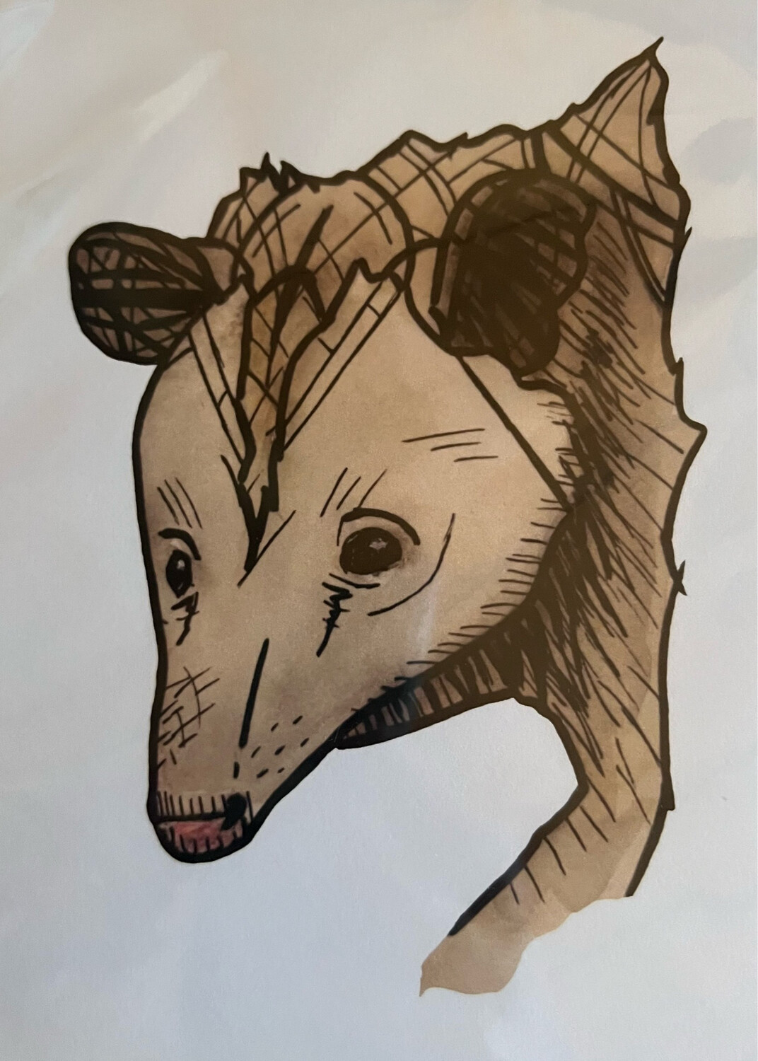 Art Print By- M.Ott- TOTEM OPOSSUM