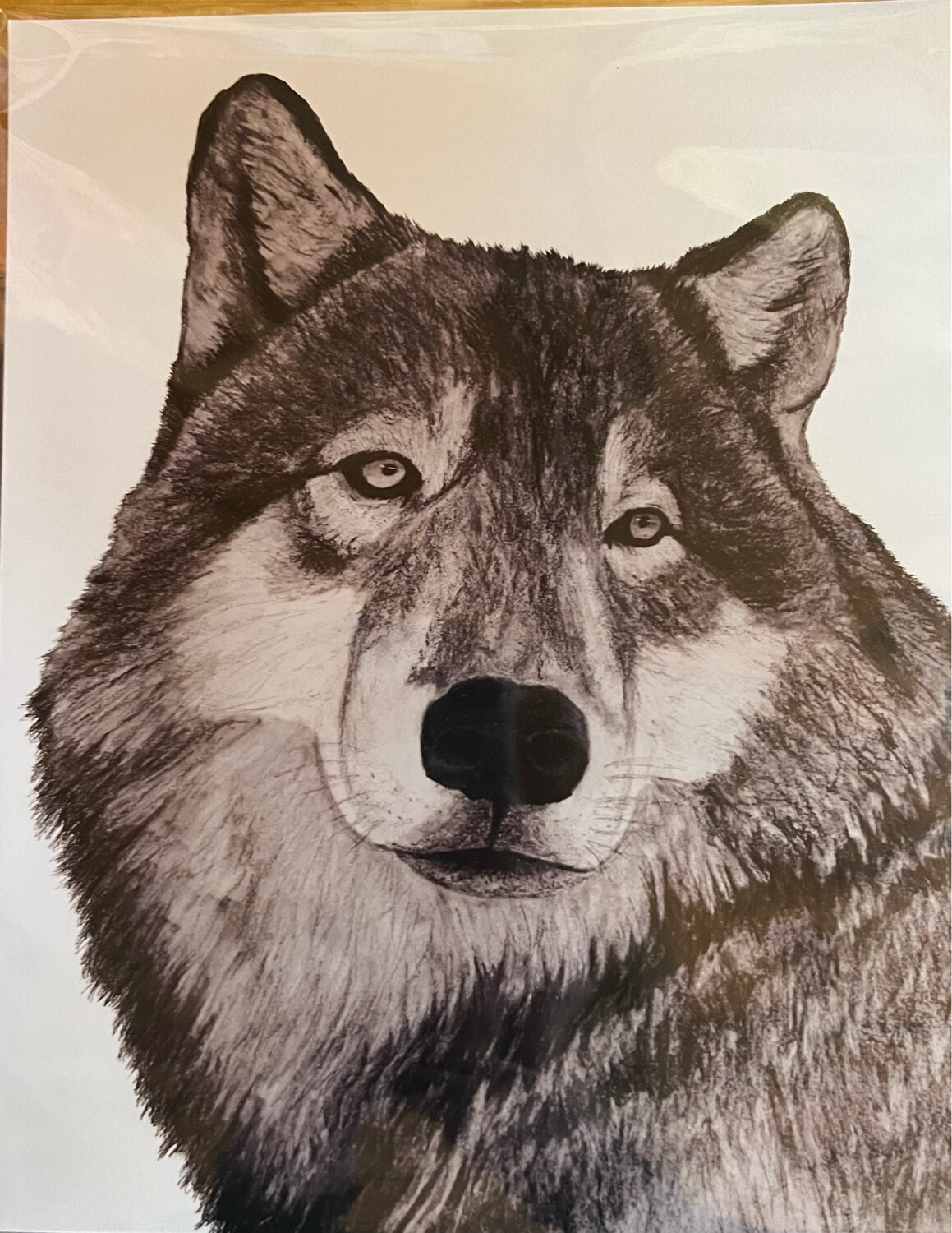 Art Print By M.Ott-MAVERICK
