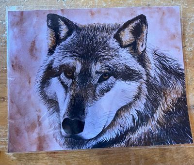 Art Print By M.Ott- APACHE