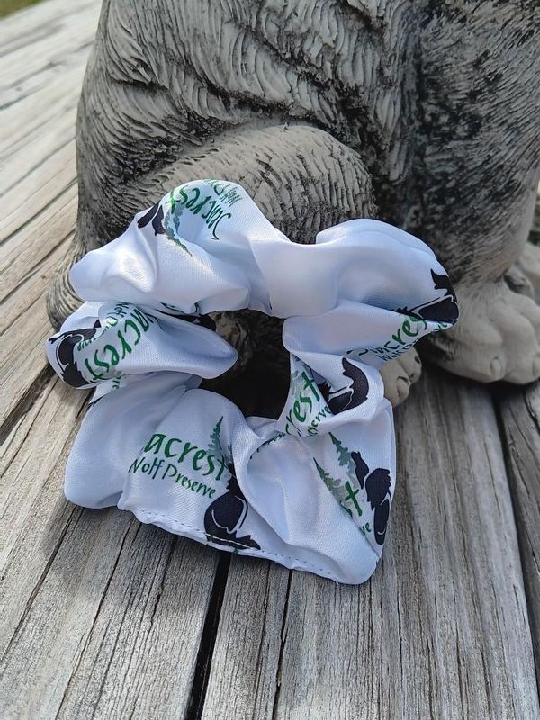 SWP silk Scrunchies