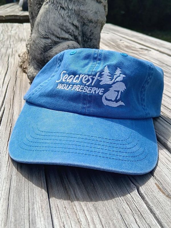Hat-SWP Logo-blue