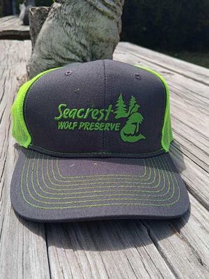 Hat-SWP Logo Trucker - Lime Green And Grey