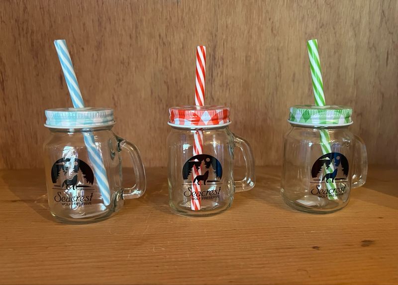 Shot Glass- Mason Jar With Straw
