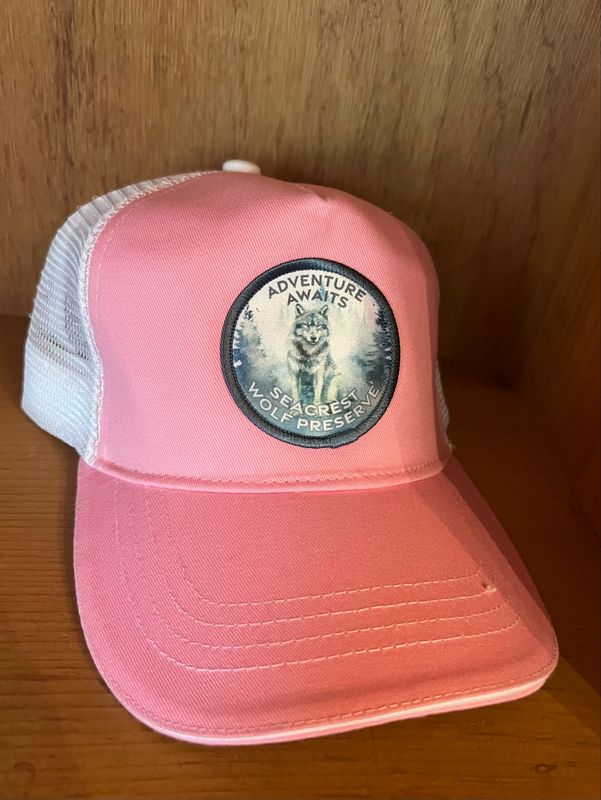 Hat- Adventure Awaits- Trucker- Pink