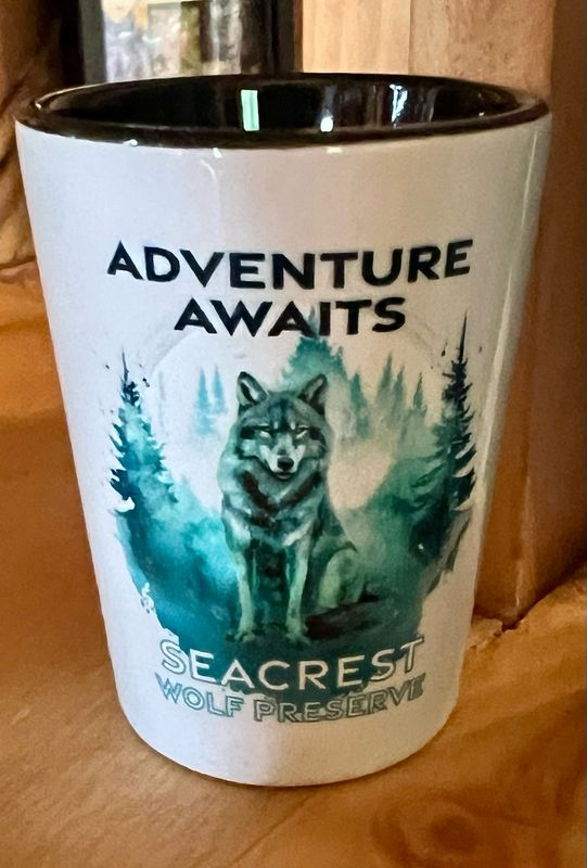 Shot Glass- Adventure Awaits