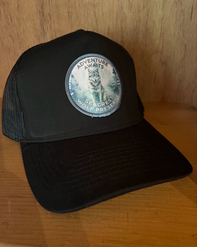 Hat- Adventure awaits- Trucker- Black