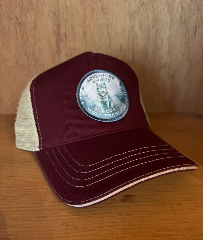 Hat- Adventure Awaits- Trucker- Burgundy