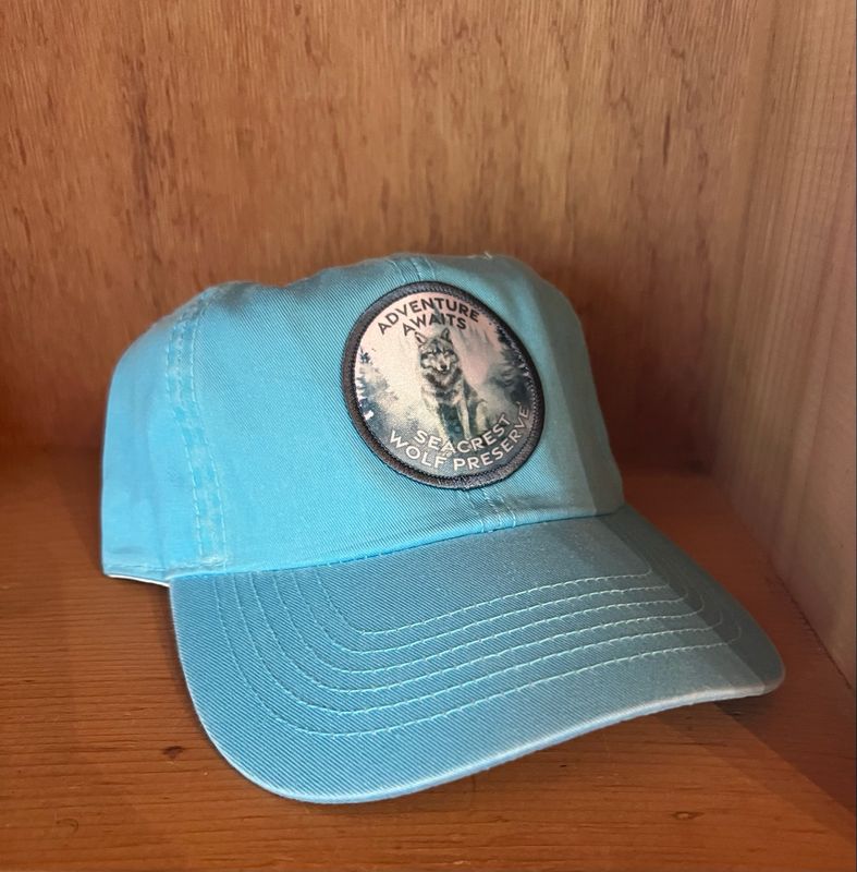 Hat- Adventure Awaits- Bright Blue