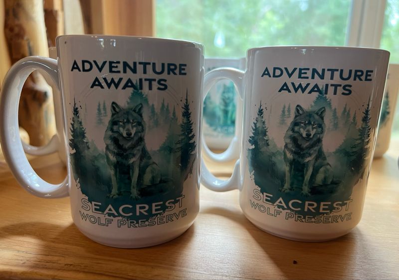 Mug- Adventure Awaits