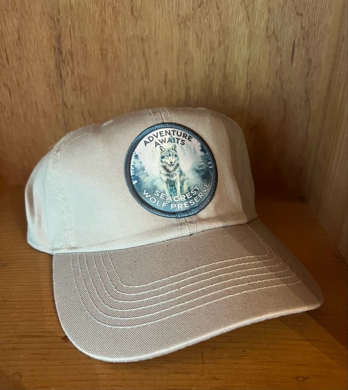 Hat- Adventure Awaits- Light Gray