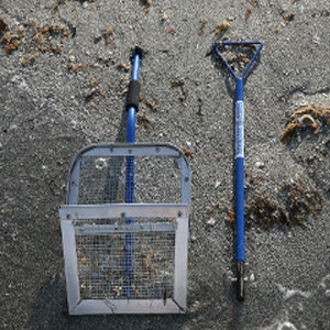 Store - Shark Tooth Sifter