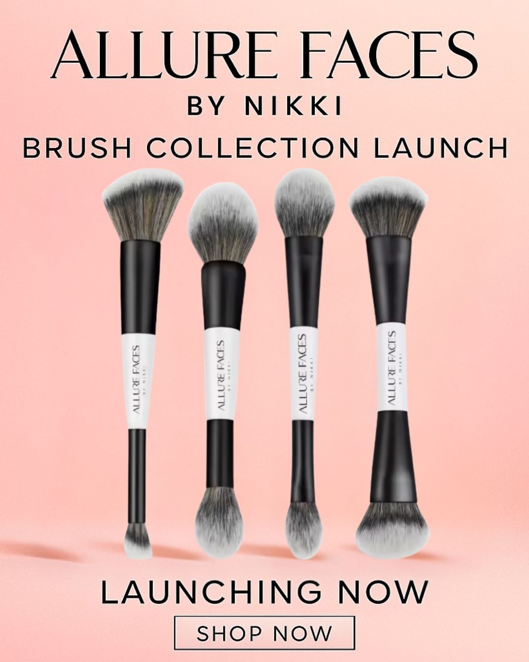 Allure Pro Complexion Duo Set