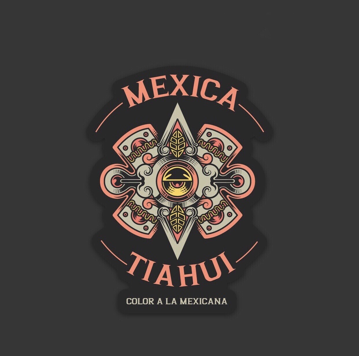 COLOR A LA MEXICANA | Ethical Fashion, Graphic T-Shirts & High Quality ...