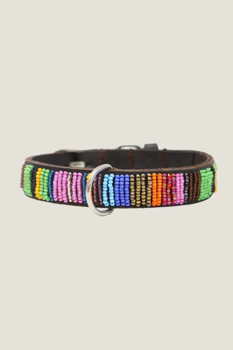Aspiga Dog Collar Full Beaded Multishine