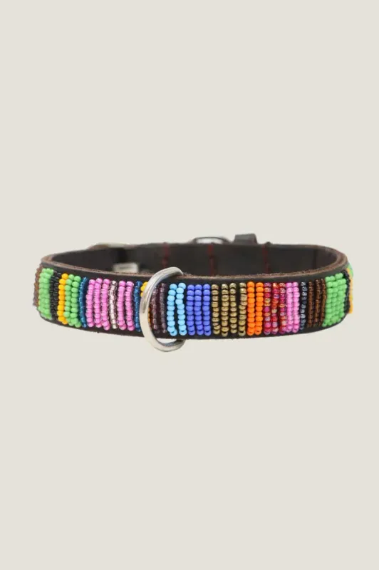 Aspiga Dog Collar Full Beaded Multishine