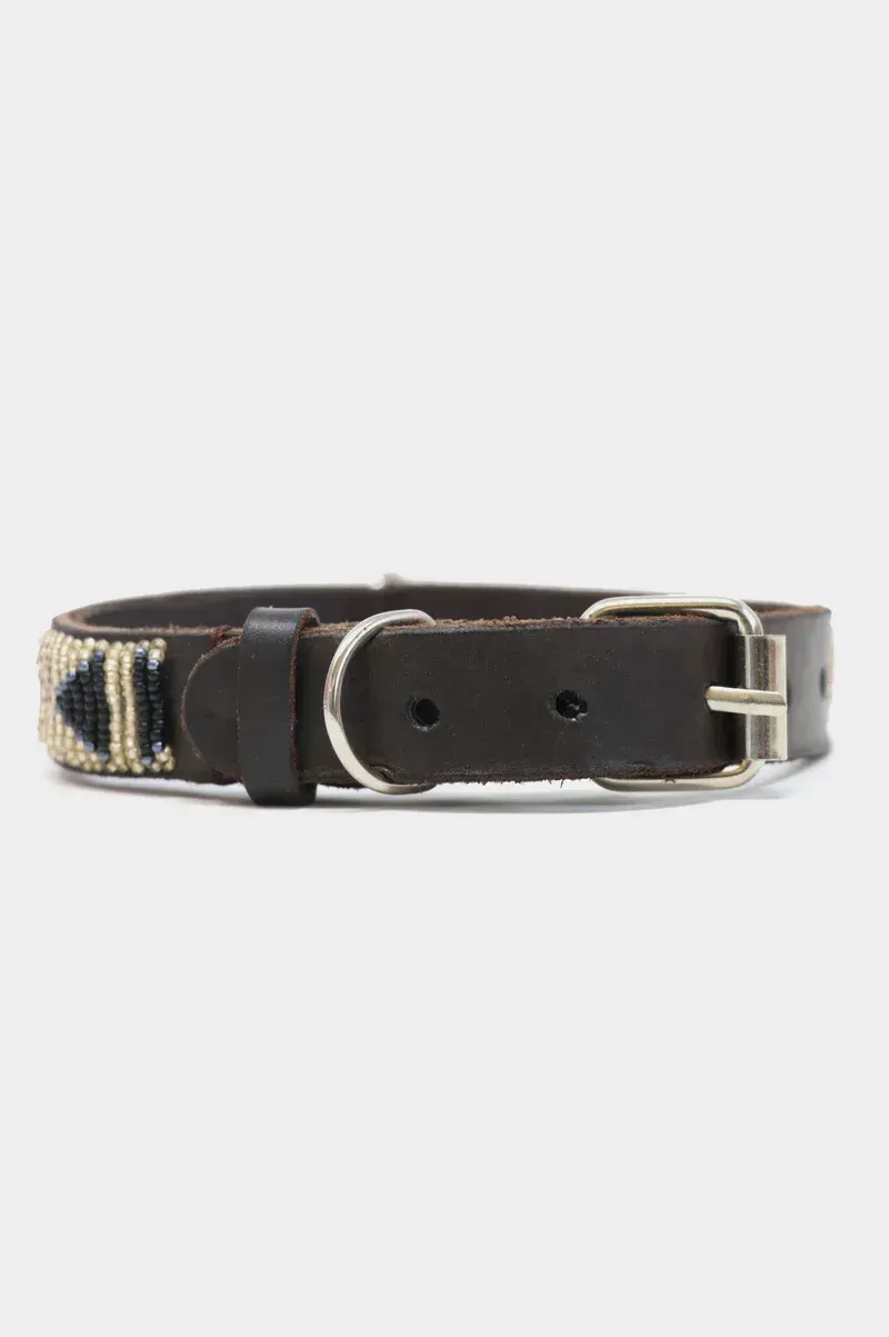 Aspiga Dog Collar in Arrow Gold/Bullet